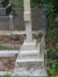 image of grave number 156353